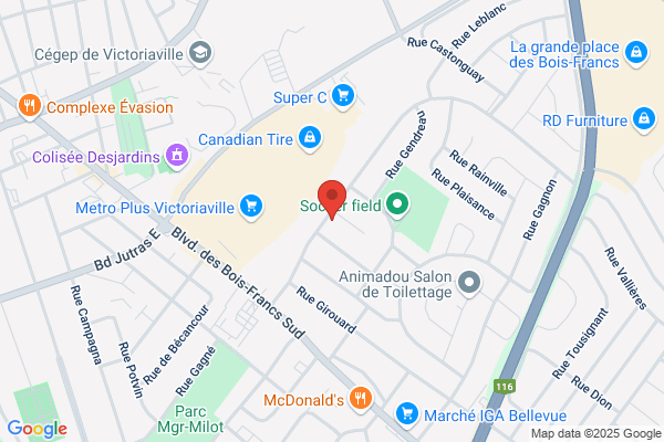 Clinique D'acupuncture Des Bois Francs Yvan Duceppe