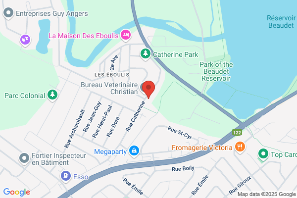 Clinique De Sante Massanges