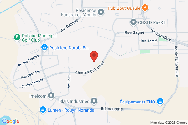 Centre De Readaptation La Maison, Points De Service, Ville-Marie