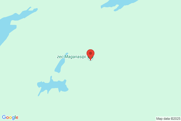 Zec Maganasipi