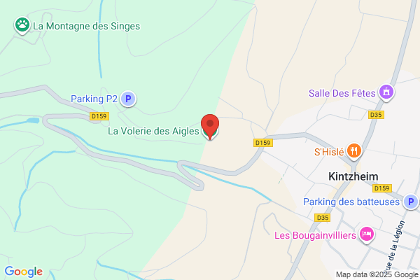 L'ordre Fraternelle Des Aigles 4353