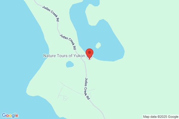 Nature Tours of Yukon