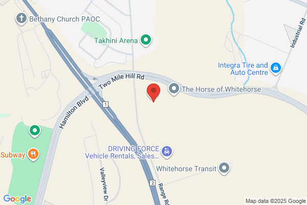 Animal Services, Whitehorse