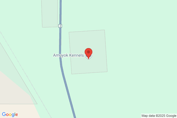 Amuyok Kennels