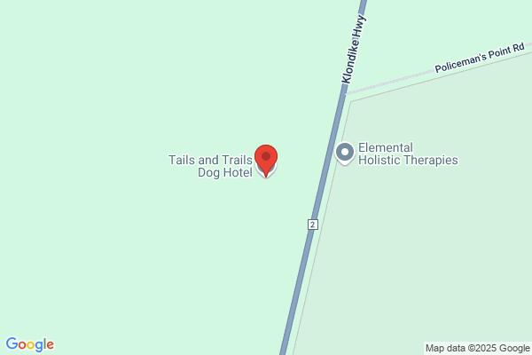 Tails and Trails Dog Hotel