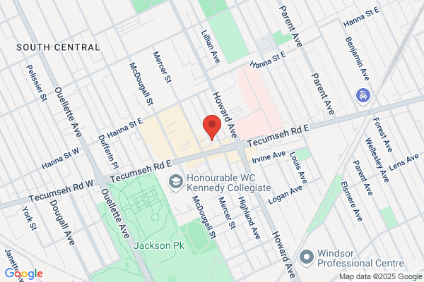 Windsor Auto Glass