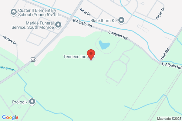 Tenneco Automotive