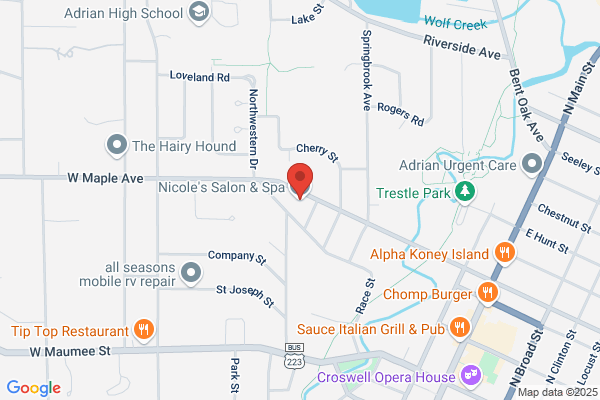 Nicole Hair Salon & Day Spa