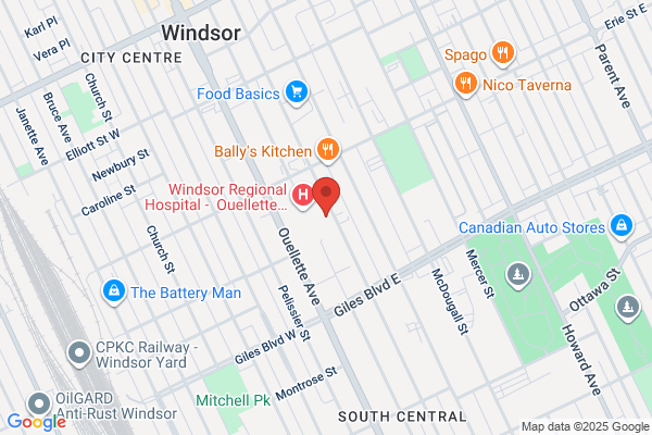 Community Crisis Centre, Hotel-Dieu Grace Hospital 1030 Ouellette, Alive Canada