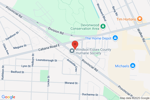 Canadian Clinic of Rejuvenation & Longevity