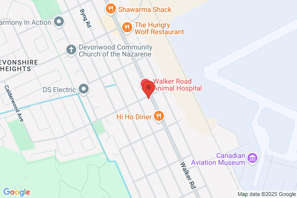 Northstar Plumbing Windsor