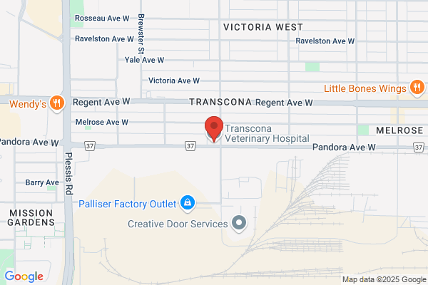 Transcona Veterinary Hospital, Dr Tim Bowles