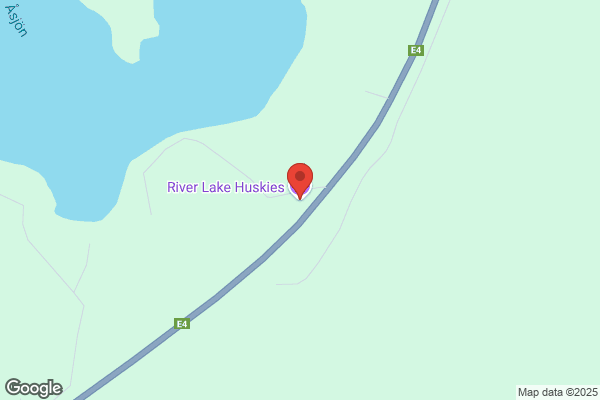 River Park Husky