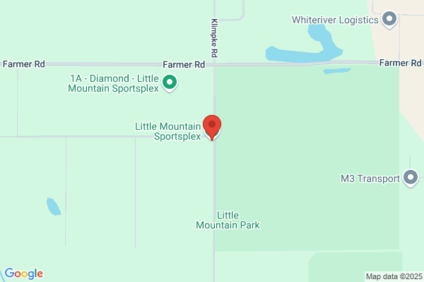 Little Mountain Professional Services Inc