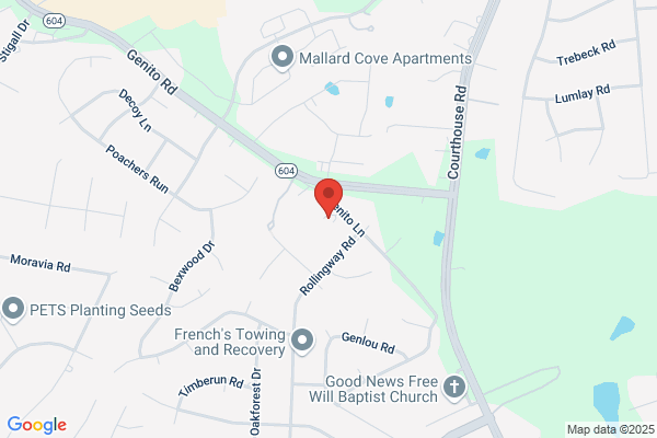 Castle Chimney Services