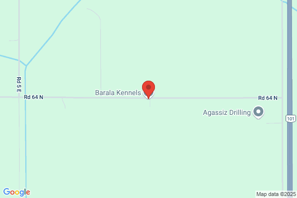 Barala Kennels