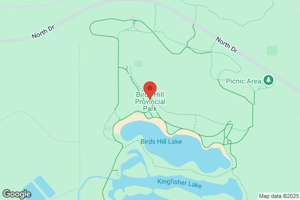 Dugald, Conservation, Birds Hill Forestry Operations