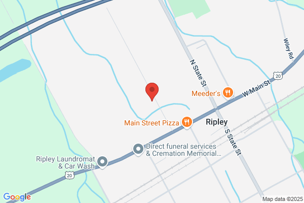 Thompson Auto Collision