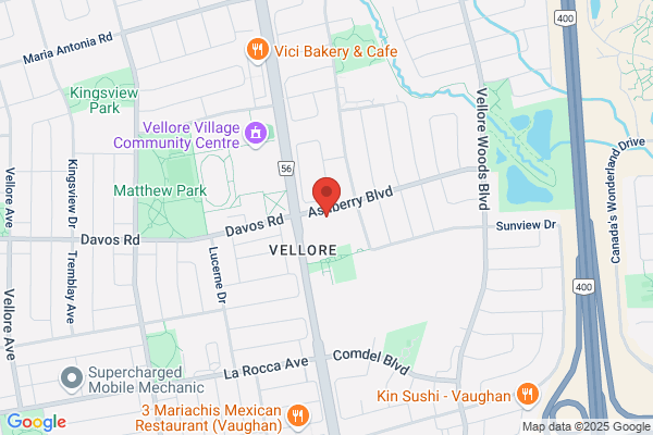 Vellore Chiropractic & Wellness Centre