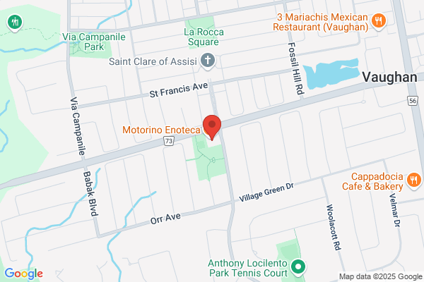 Scolieri Nancy Dr Dentist