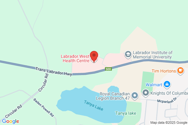 Health Labrador Corporation, Emergency, Purchasing