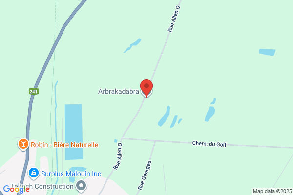 Arbrakadabra