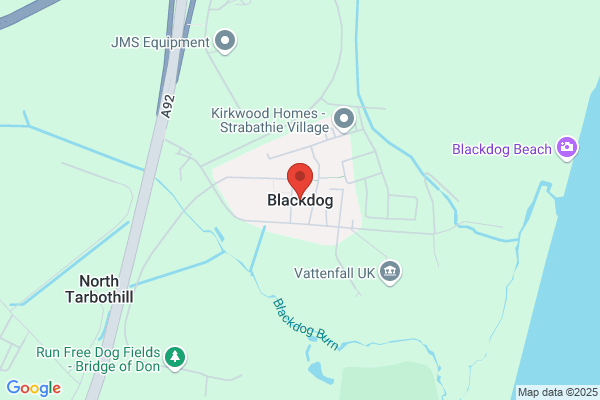 Black Dog Mountain Ltd