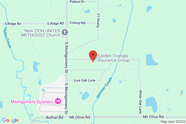 Golden Triangle Insurance & Financial Services Ltd