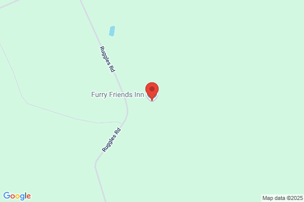 Furry Friends Inn & Dog Day Care