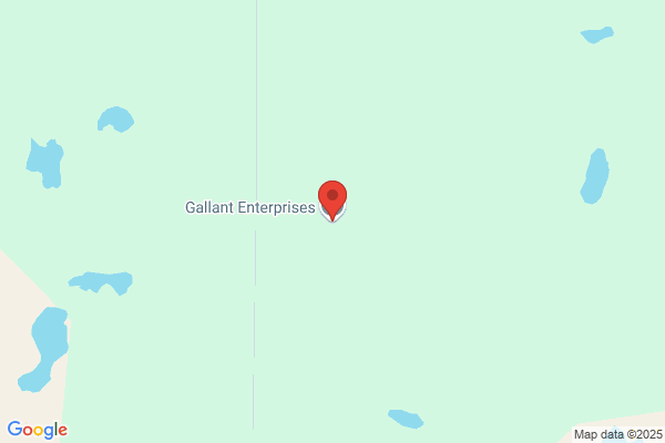 Gallant Transport Ltd