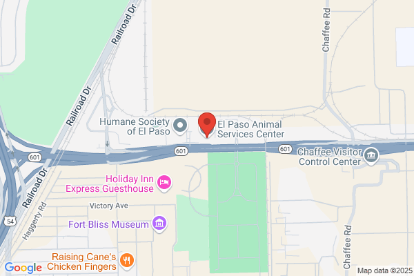 Animal Services, Watson Lake