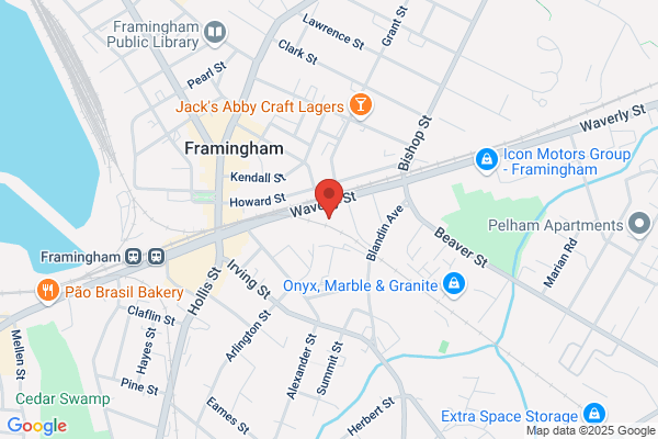 European Auto Services Inc