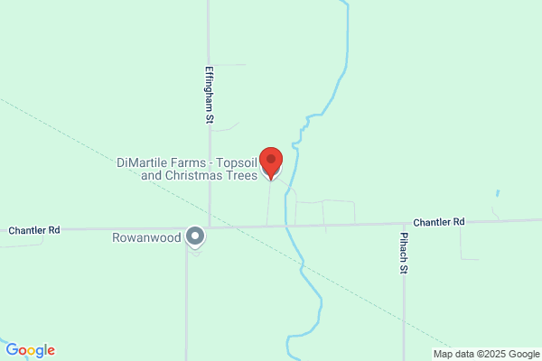 Di Martile Farms Topsoil & Christmas Trees