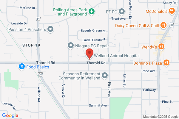 Welland Animal Hospital