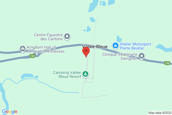 Silencieux West Brome
