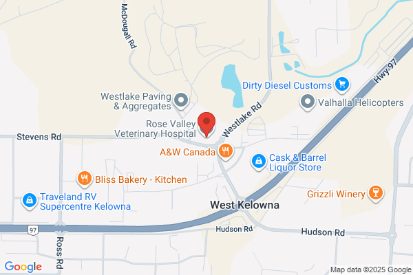 Rose Valley Veterinary Hospital