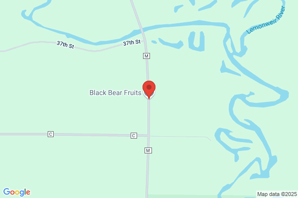 Black Bear Fruit Co the