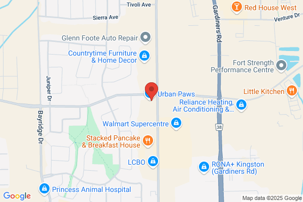 Cataraqui Pet Hospital