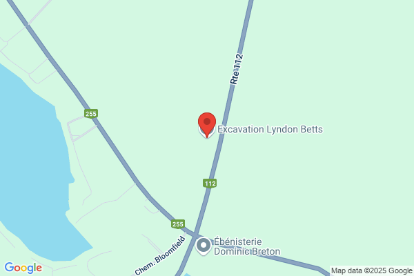 Excavation Lyndon Betts