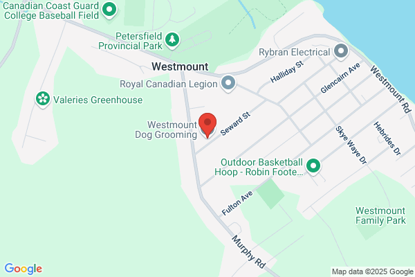 Westmount Dog Grooming