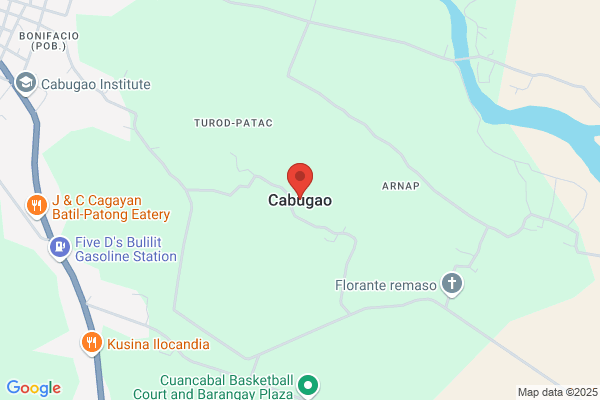 Cabugao & Associates