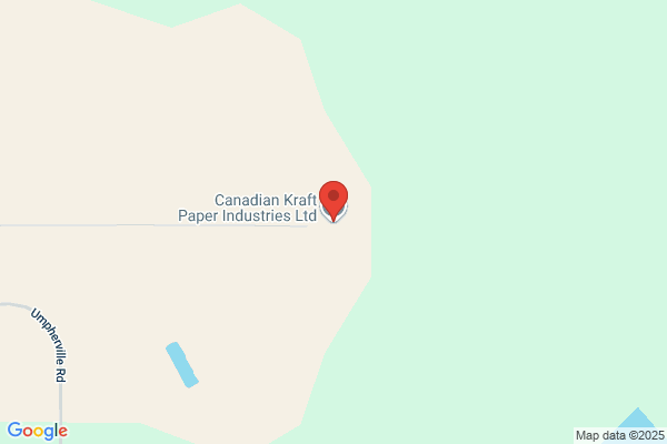 Canadian Paper Analyst