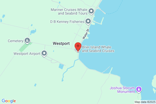 Brier Island Whale & Seabird Cruises Ltd
