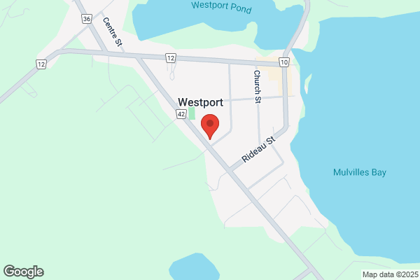 Westport Veterinary Clinic
