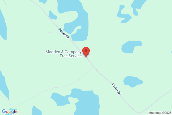 Madden & Company Tree Service