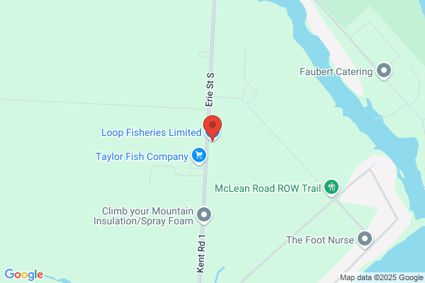 Loop Fisheries Limited