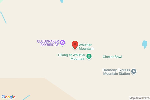 Mount Cashmere Inc