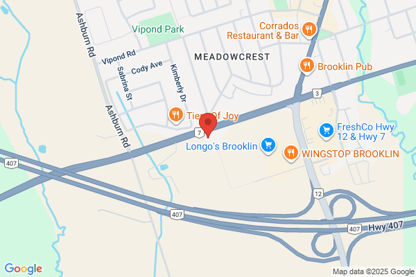 Brooklin Village Animal Hospital, Dr Susan Strickland