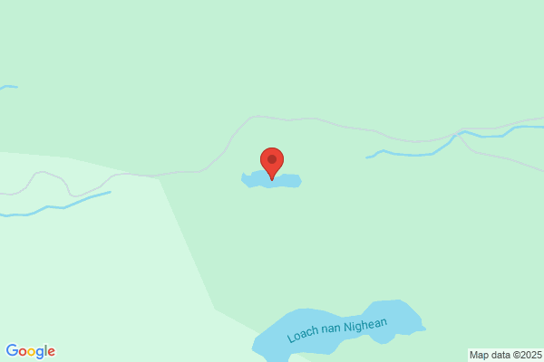 Loynachan Rod