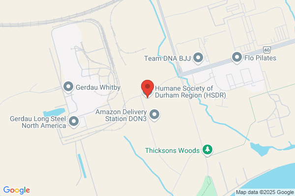 Animal Services, Durham (Regional Municipality of), Health Department, Rabies Information